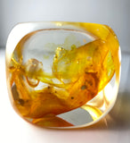 Klubo pearlescent burnt yellow orange