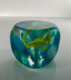 Klubo green metras 1