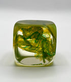 Klubo green yellow