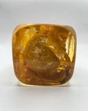 Klubo mustard yellow gold 4x4